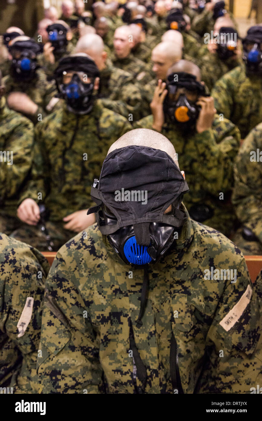 US Marine Rekruten sind während Bootcamp 13. Januar 2014 in Parris Island, SC. im richtigen Gebrauch der ihre Gasmaske trainiert. Stockfoto