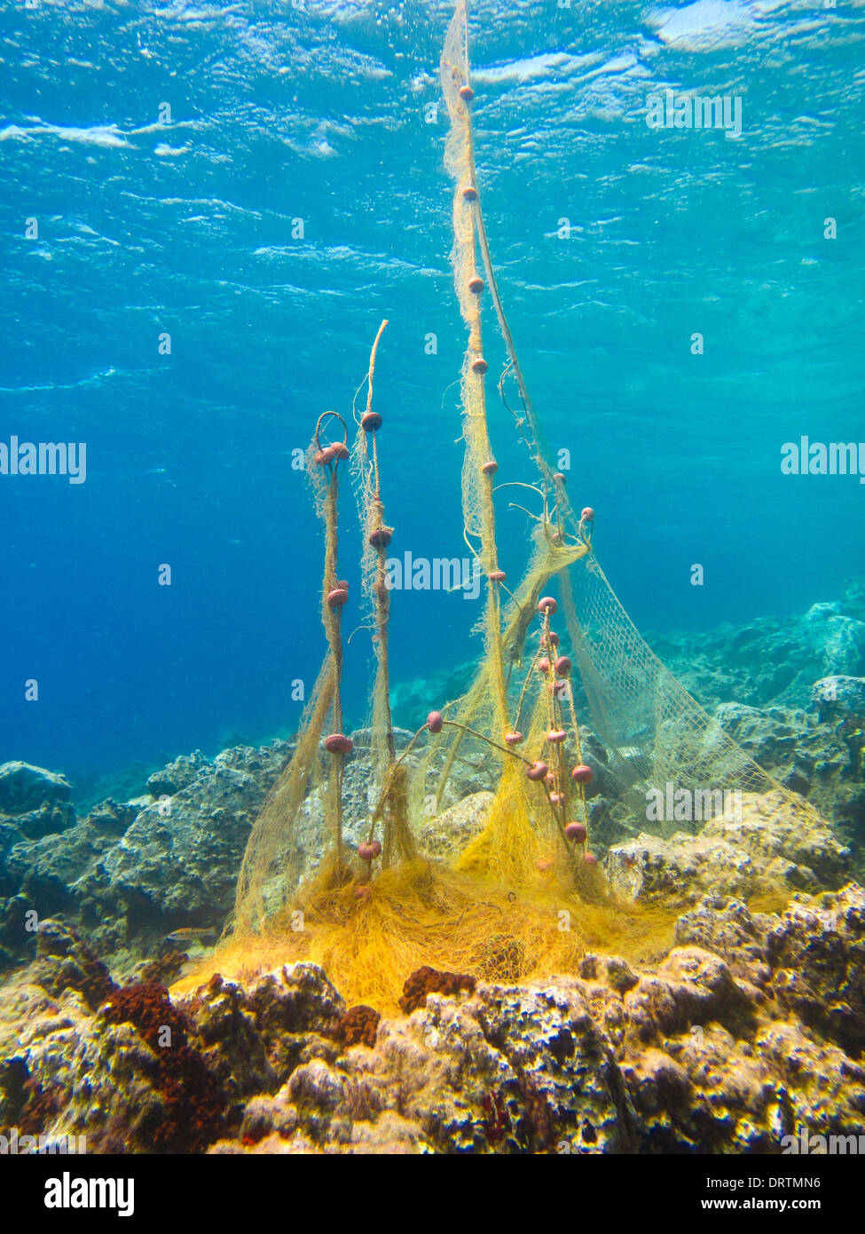 eine Unterwasserlandschaft mit Fischernetzen und Fisch Stockfoto