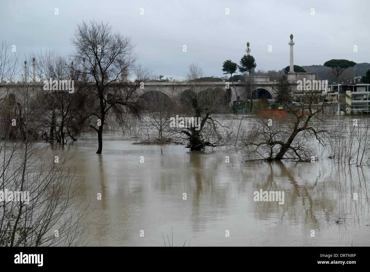 Rom, Italien. 1. Februar 2014. Unwetter-Warnung in Italien. Hochwasser des Flusses Tiber an der Milvischen Brücke, Credit: wirklich Easy Star/Alamy Live News Stockfoto