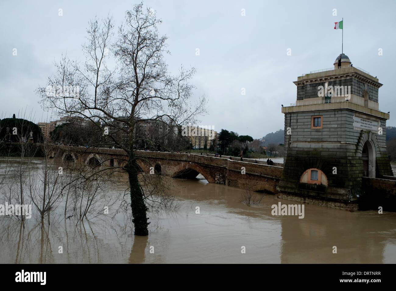 Rom, Italien. 1. Februar 2014. Unwetter-Warnung in Italien. Hochwasser des Flusses Tiber an der Milvischen Brücke, Credit: wirklich Easy Star/Alamy Live News Stockfoto