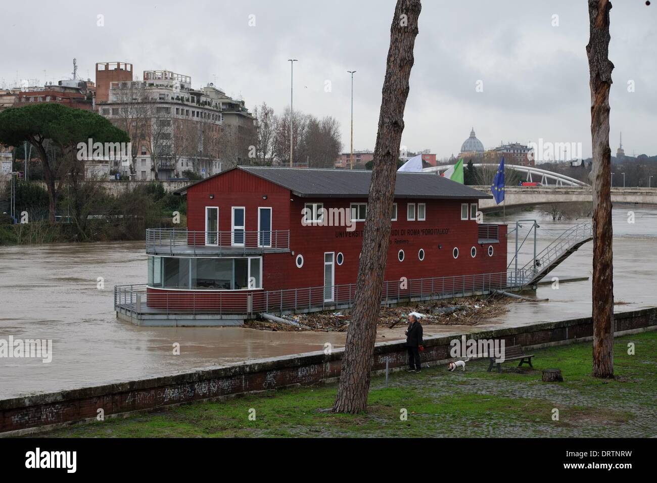 Rom, Italien. 1. Februar 2014. Unwetter-Warnung in Italien. Hochwasser des Flusses Tiber an der Milvischen Brücke, Credit: wirklich Easy Star/Alamy Live News Stockfoto