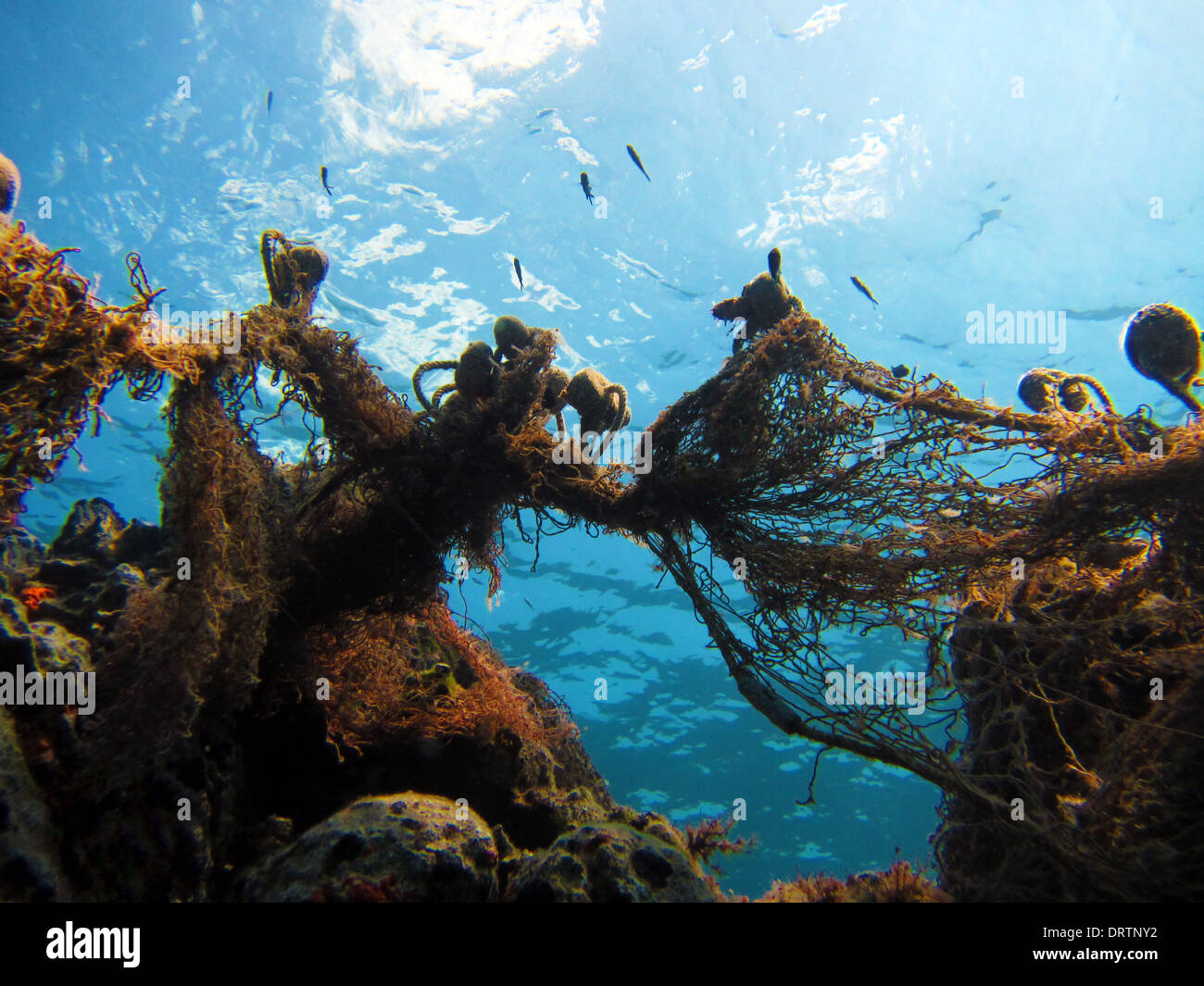 eine Unterwasserlandschaft mit Fischernetzen und Fisch Stockfoto