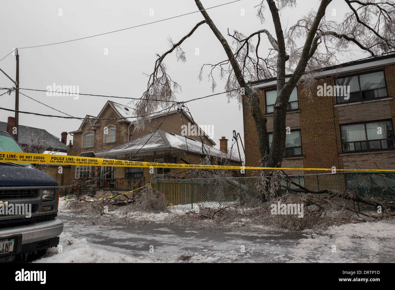 Eine historische Eissturm downs Bäume, Schnitten macht Mäntel Häuser und verheerende Auswirkungen in der Greater Toronto Area verlassen Bewohner betäubt Stockfoto