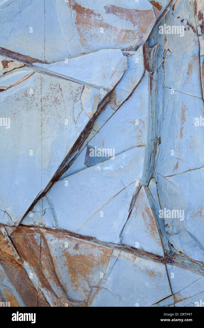 Gebrochene blauen Rock in den Klippen Dollar Cove, Cornwall, England Stockfoto