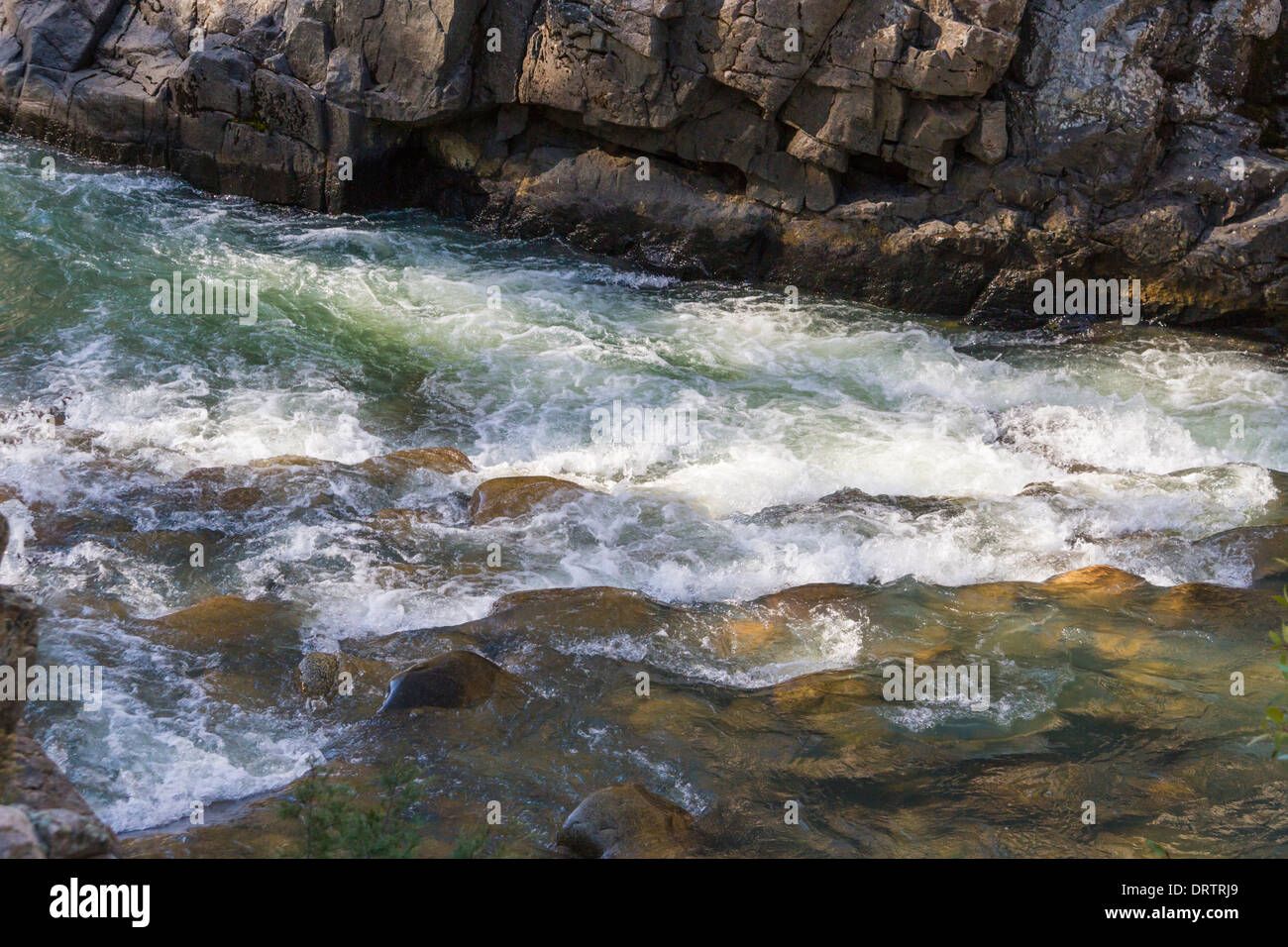 Stromschnellen am Fluss Animas im Herbst in den San Juan Mountains von Colorado. Stockfoto