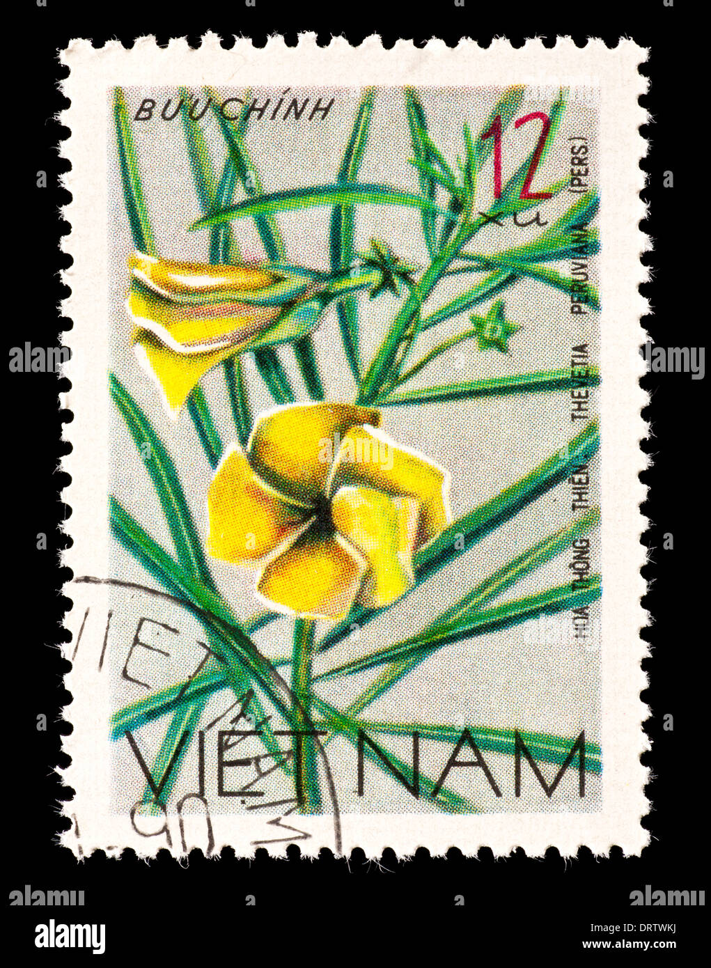 Briefmarke aus Vietnam mit gelben Oleander (Thevetia Peruviana) Stockfoto