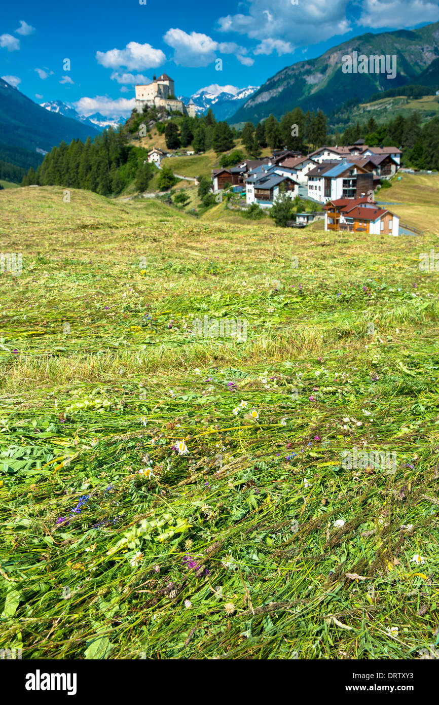 Gemähtem Heu mit Wildblumen im Unterengadin Tal, Schweiz Stockfoto