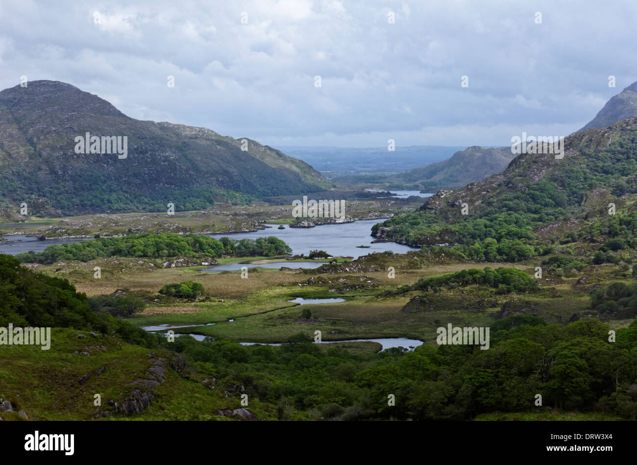 Damen-Blick auf die Seen von Killarney auf der Ring of Kerry, Land Kerry, Irland Stockfoto
