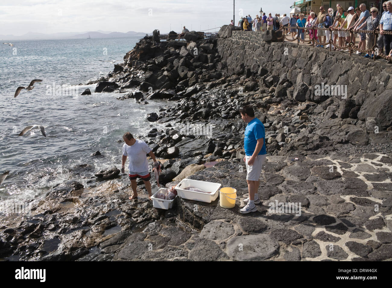 Playa Blanca Lanzarote Touristen blickte auf zwei Männer ausnehmen frisch gefangenen Fisch, Möwen aufräumen Stockfoto