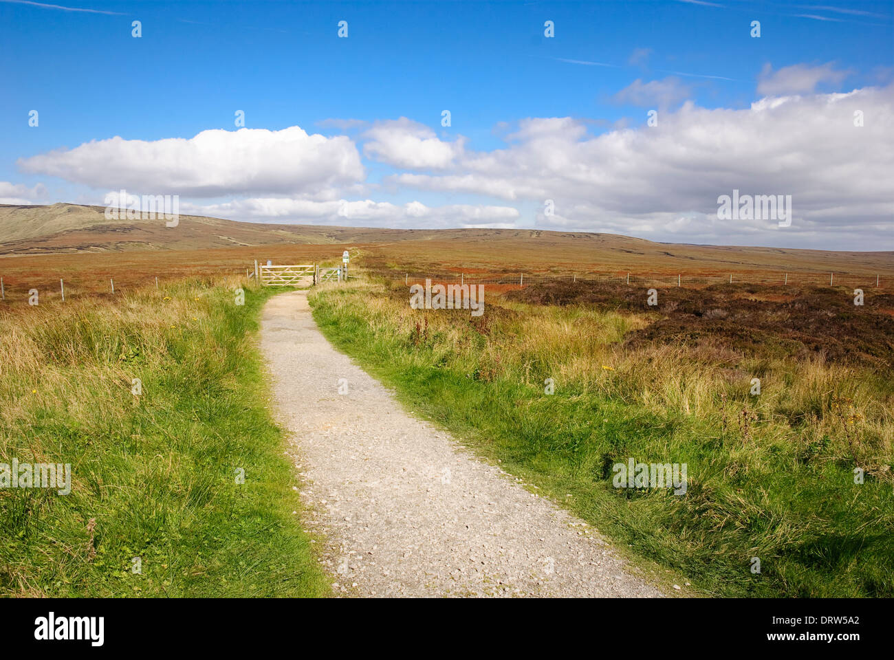 Pennine Way in Hoffnung Woodlands Moor, Peak District, Derbyshire, Großbritannien. Stockfoto