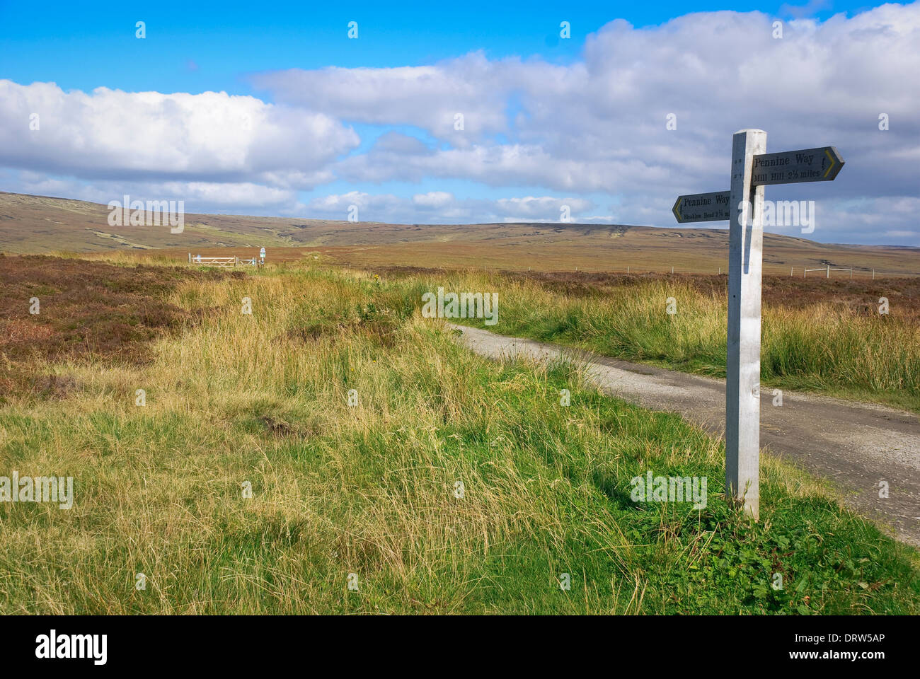 Pennine Way in Hoffnung Woodlands Moor, Peak District, Derbyshire, Großbritannien. Stockfoto