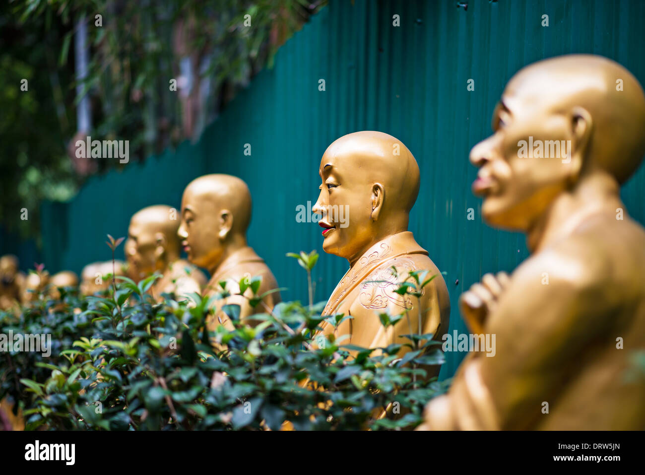 Buddha-Statuen in zehn tausend Buddhas Kloster in Hong Kong, China. Stockfoto
