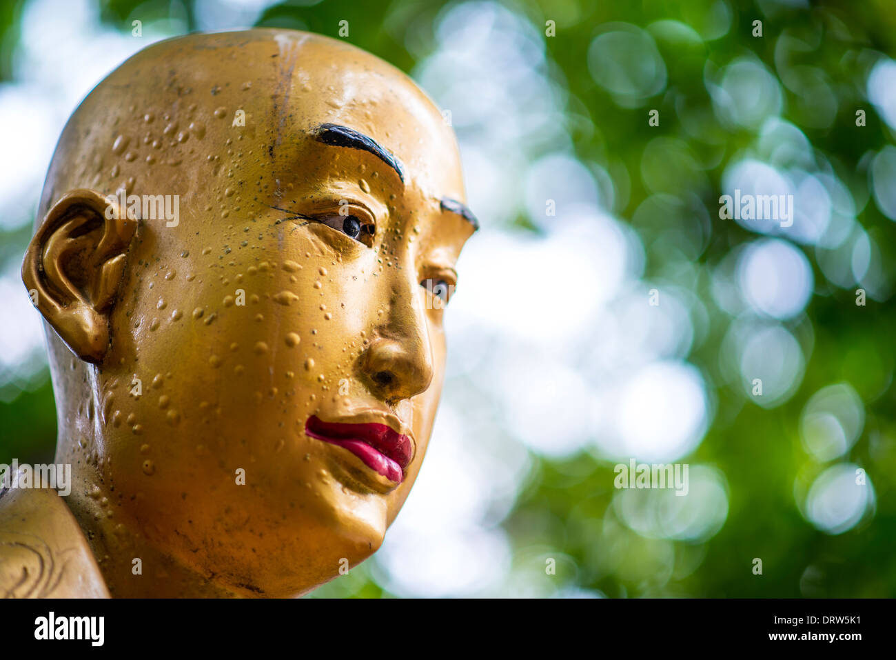Buddha-Statue in zehn tausend Buddhas Kloster in Hong Kong, China. Stockfoto