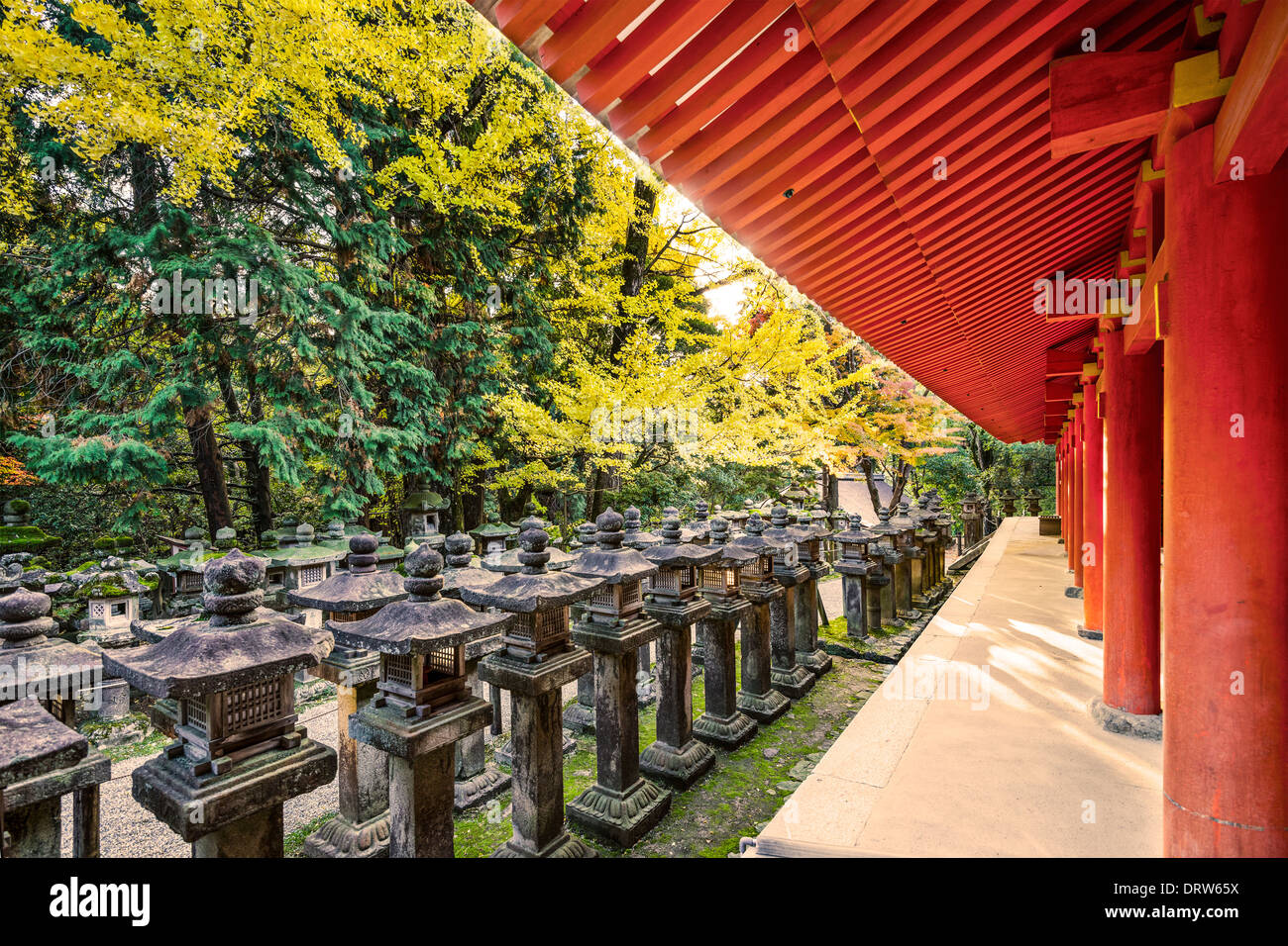 Nara, Japan. Japanische Laternen am Kasuga-Taisha Schrein. Stockfoto