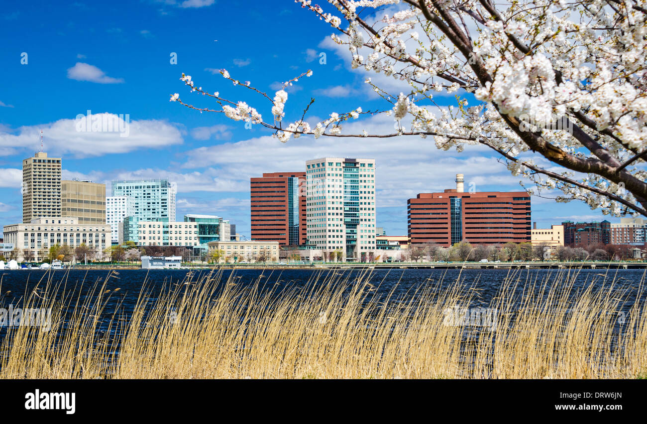 Cambridge, Massachusetts Skyline im Frühjahr. Stockfoto