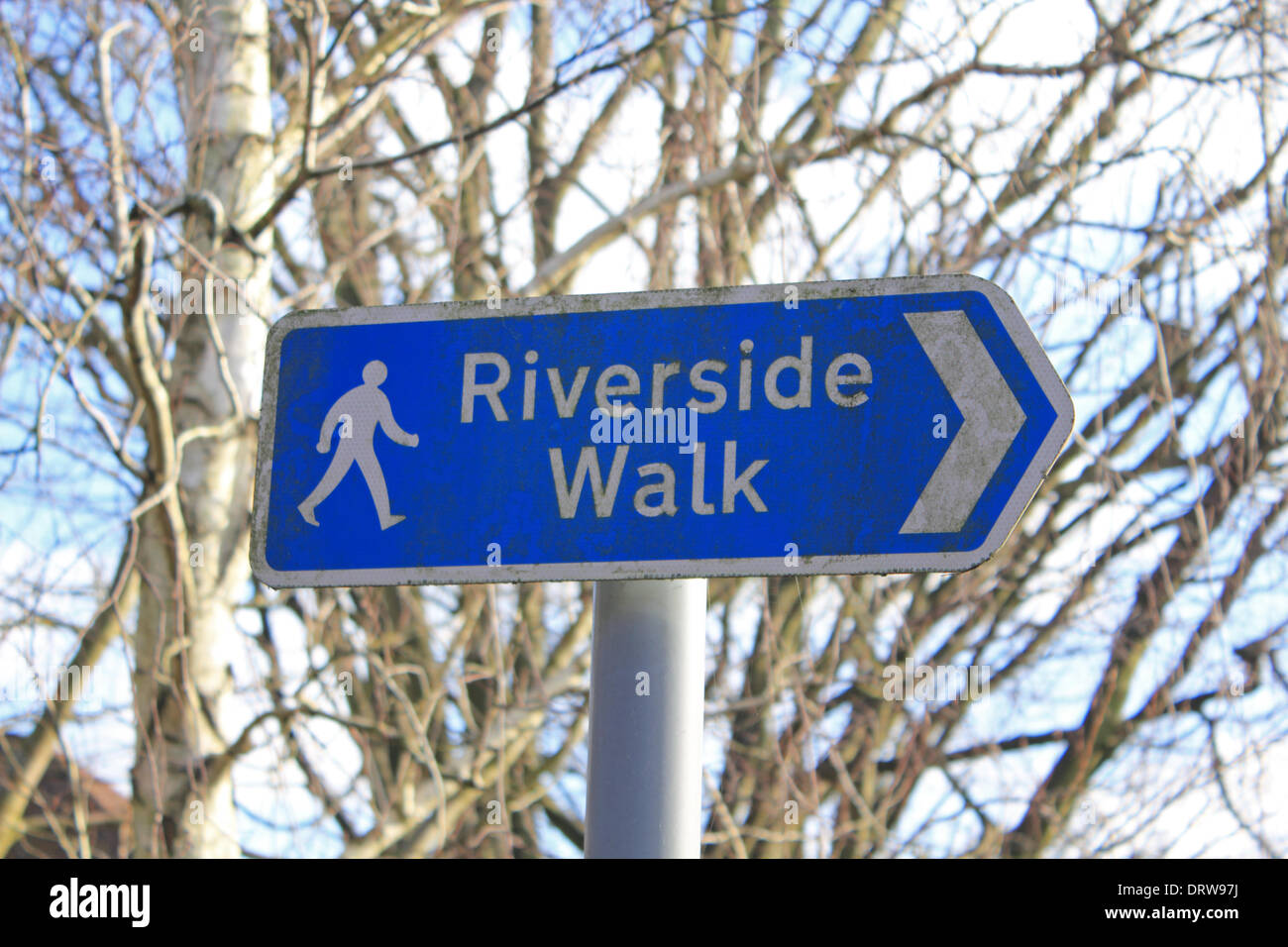Leatherhead, Surrey, England, UK. 2. Februar 2014. Nach den außergewöhnlichen Ebenen Niederschläge in ganz Großbritannien ist der Fluss Maulwurf seine Ufer an vielen Orten in Surrey geplatzt. Hier in Leatherhead am Flussufer Wanderweg hat wurde verschluckt werden durch den Fluss und die Felder sind unter mehreren Zoll Wasser. Bildnachweis: Julia Gavin/Alamy Live-Nachrichten Stockfoto