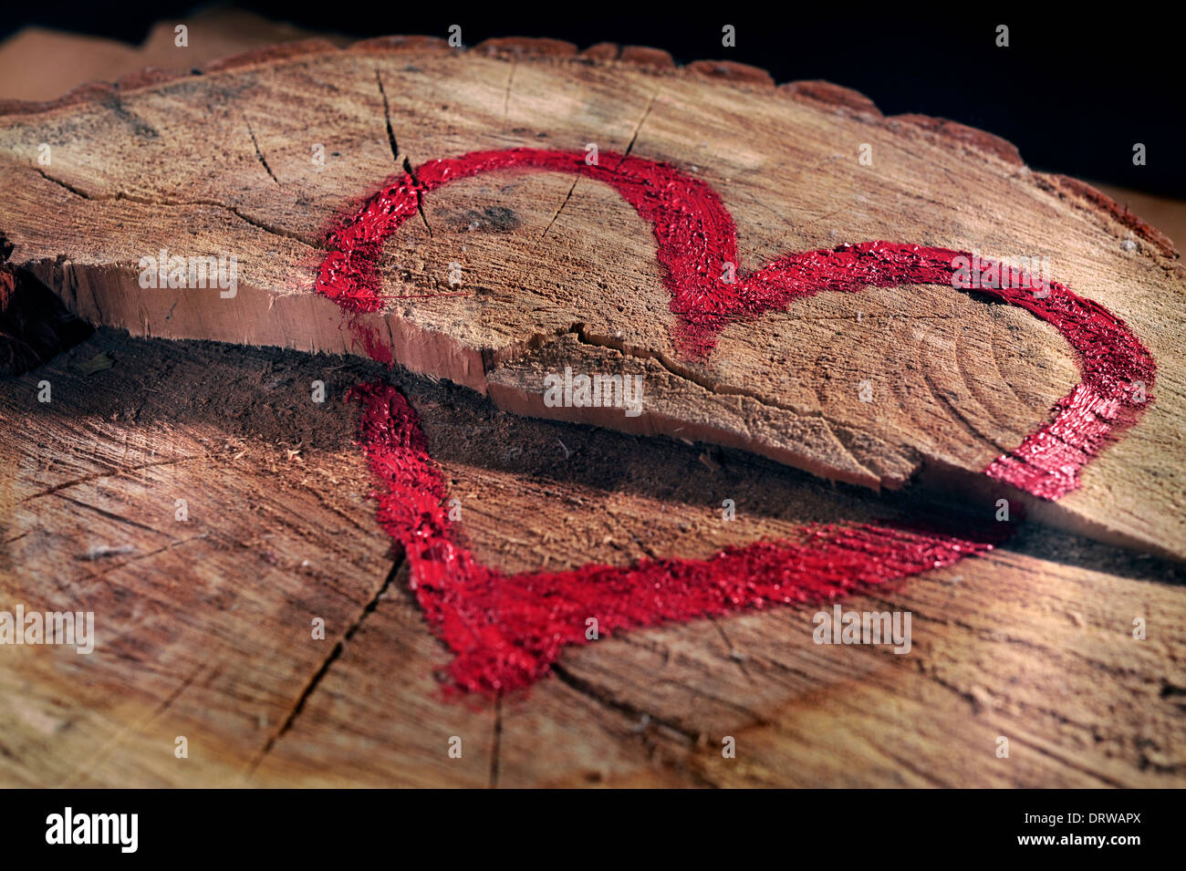 Lieblingssongs und speichere sie Natur, rote Herzen gezogen auf einem Baumstamm, close-up. Helfen Sie, schützen Sie die Natur, die Entwaldung zu stoppen. Stockfoto