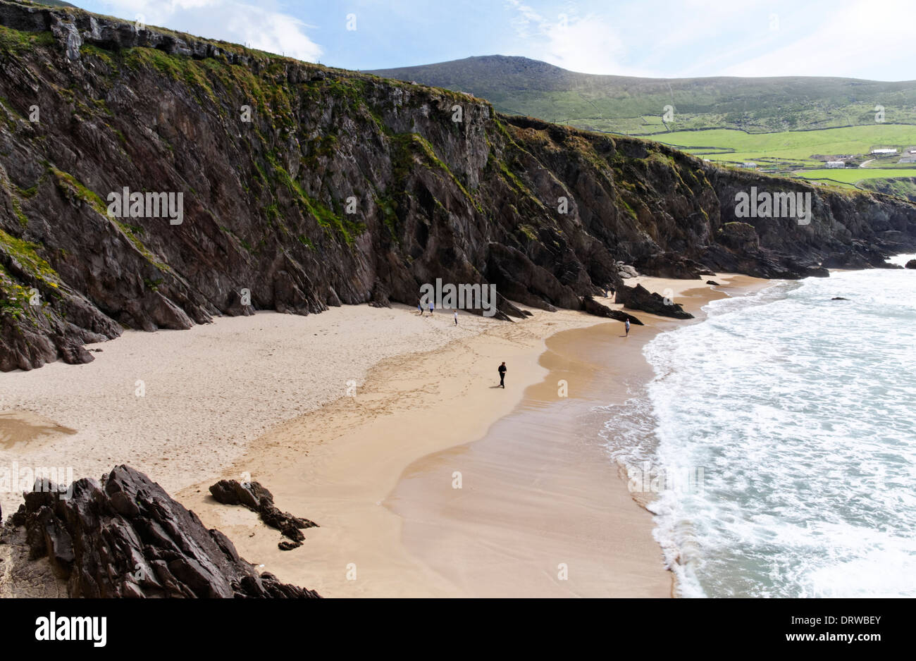 Strand auf der Dingle-Halbinsel im County Kerry, Irland Stockfoto