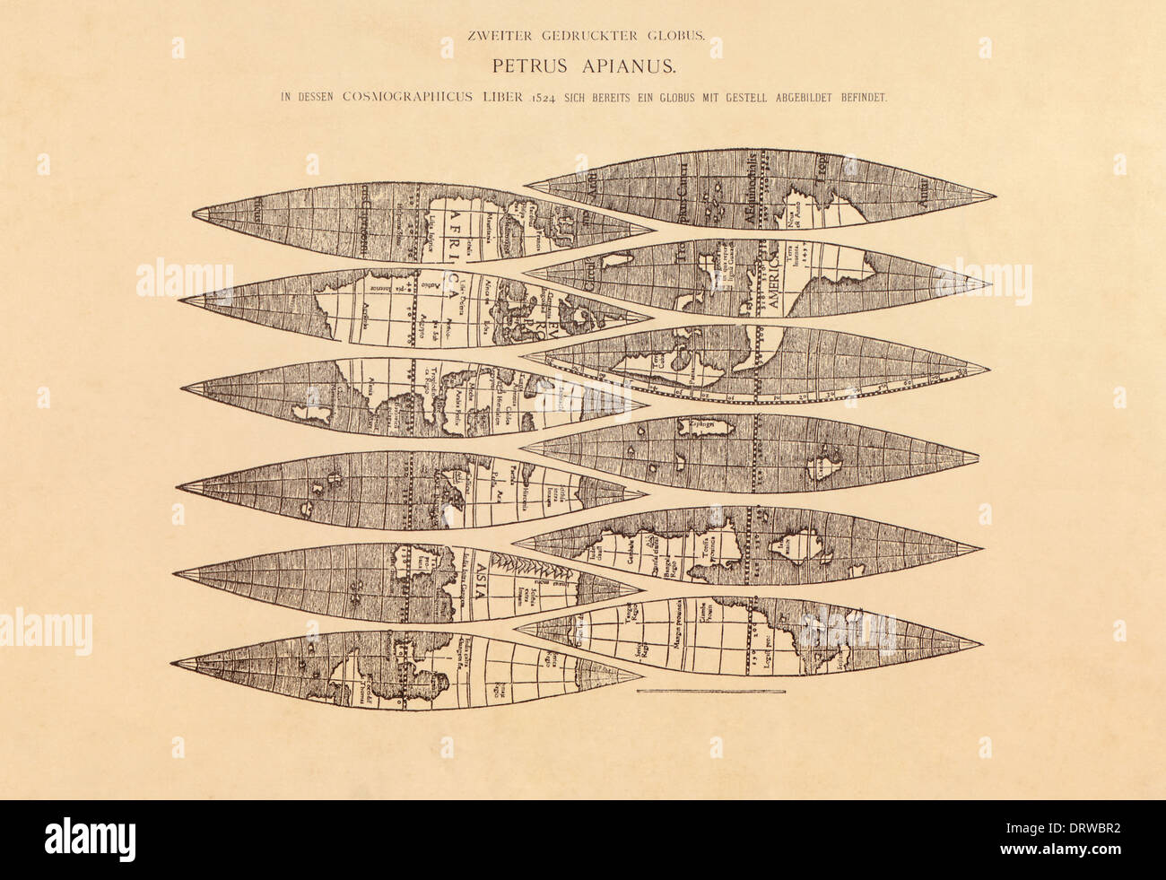 Petrus Apianus (1495-1552) deutscher Mathematiker Astrologe & Kartograph globale gores aus Cosmographicus Liber, Landshut 1524 Stockfoto