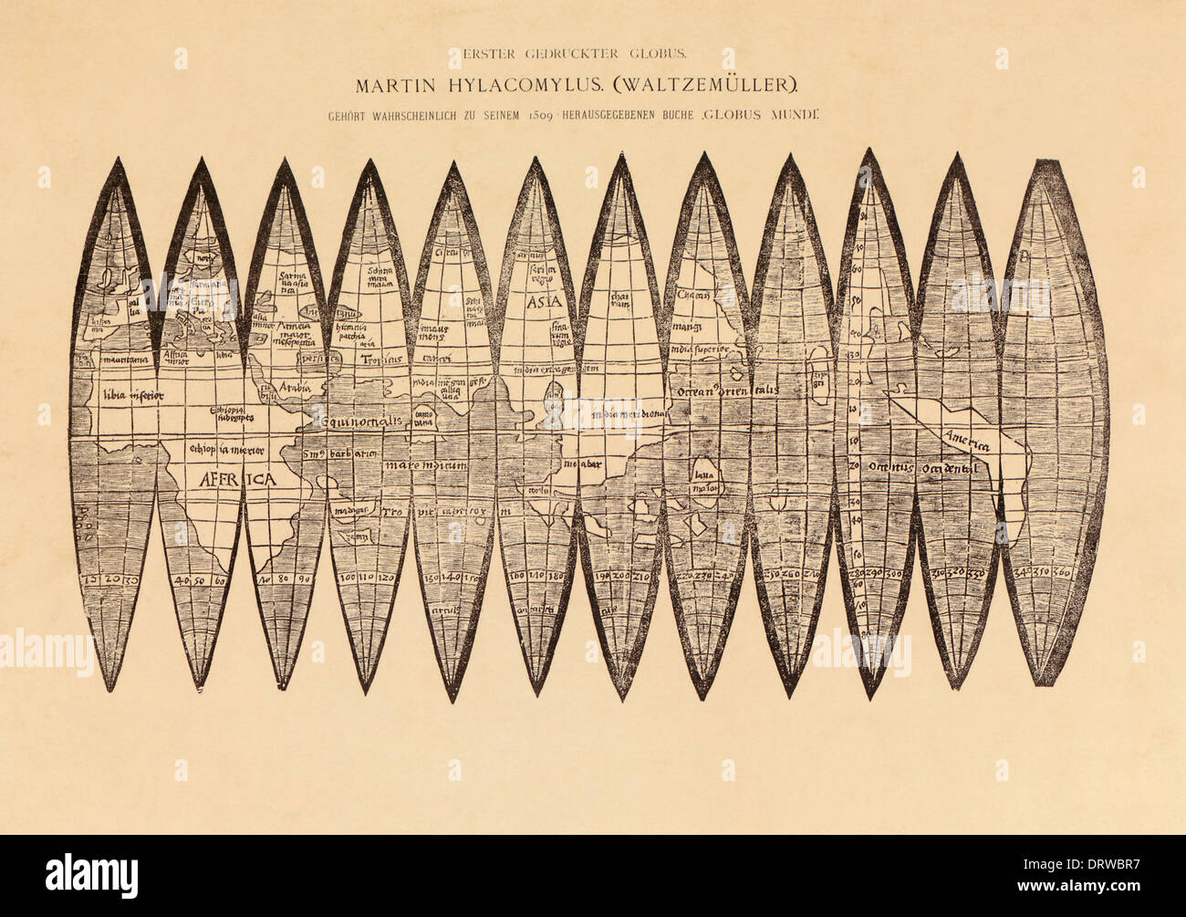 Martin Waldseemüller (1470-1520) deutsche Kartograph globale gores Holzschnitt-Abbildung von Globus Mundus 1509. Stockfoto