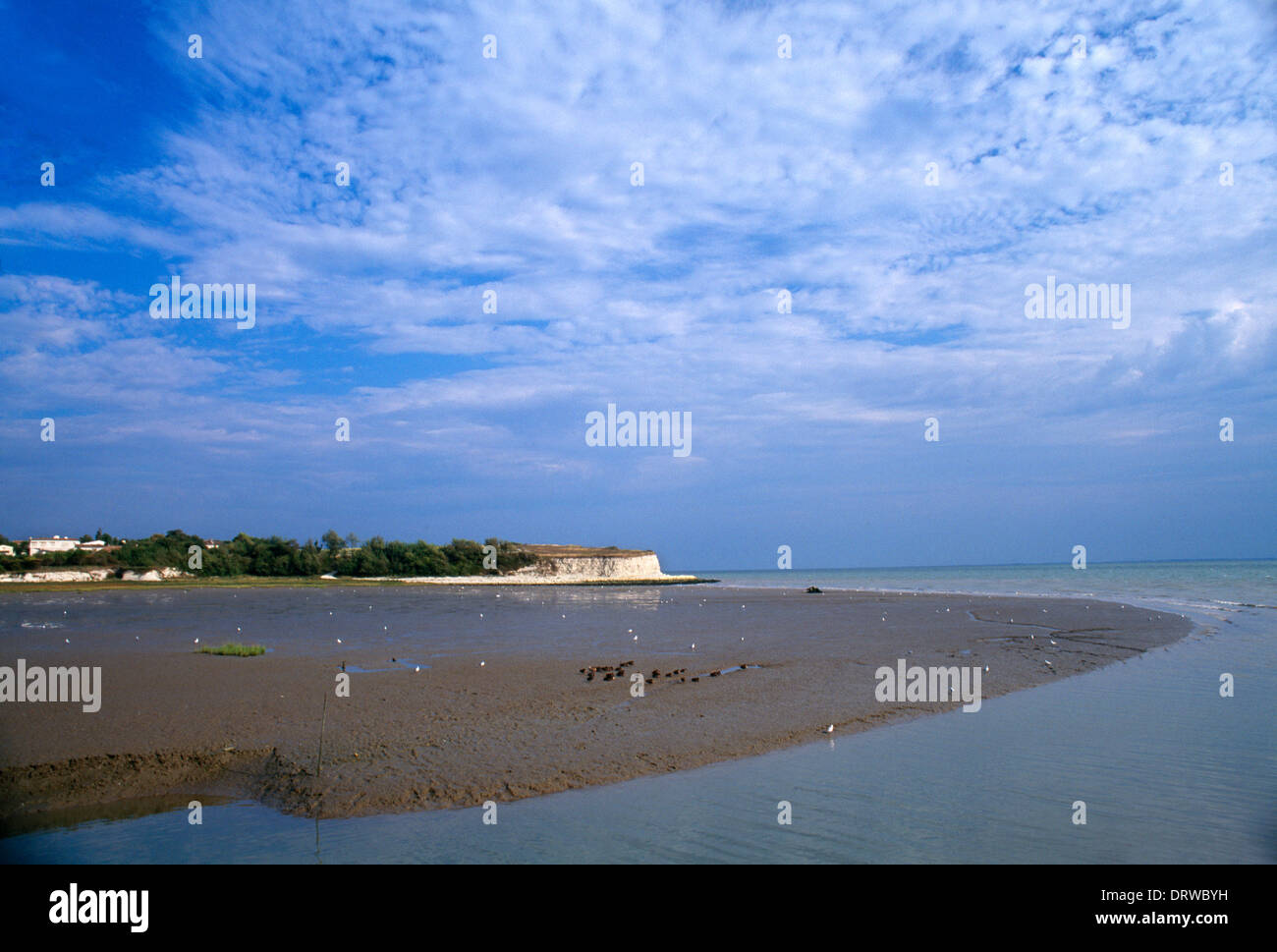 Charente-Maritime Frankreich in der Nähe von Talmont Strand Szene Atlantikküste Stockfoto