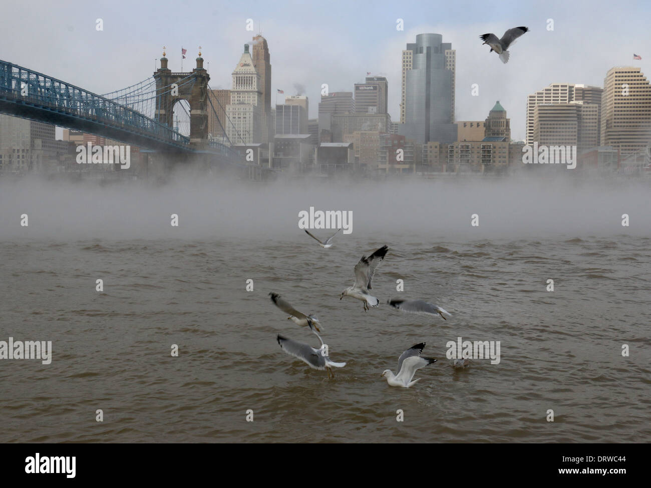 Roebling Suspension Bridge mit Möwen und Nebel Cincinnati Ohio river Stockfoto