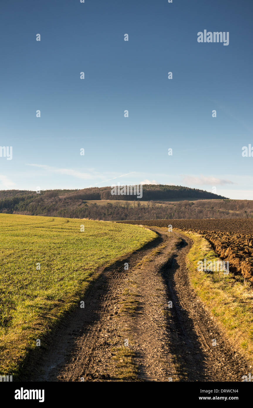 Eine abgenutzte Schmutz Weg durch Felder auf dem Lande Stockfoto