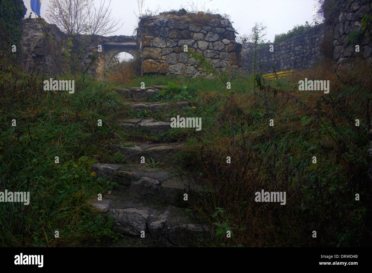 Treppe, hinauf, Burg, Mittelalter, Steinen, Ziegeln, grün, grau Stockfoto