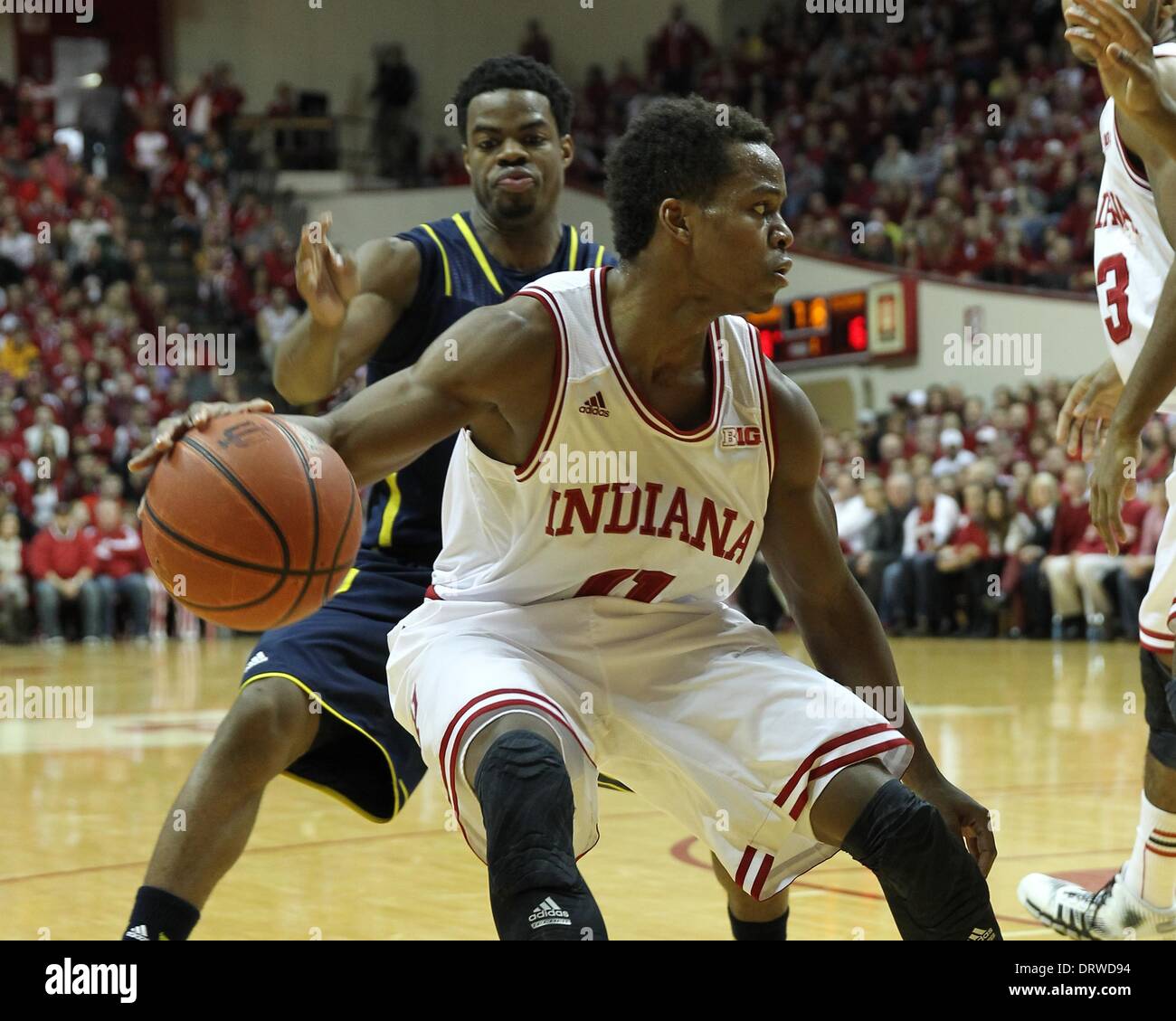 Bloomington, Indiana, USA. 2. Februar 2014. 2. Februar 2014: Indiana Hoosiers Wache Yogi Ferrell (11) dribbelt den Ball in der ersten Hälfte gegen die Michigan Wolverines in der Assembly Hall in Bloomington, Indiana. Kredit-Bild: Pat Lovell/Cal Sport Media/Alamy Live News Stockfoto