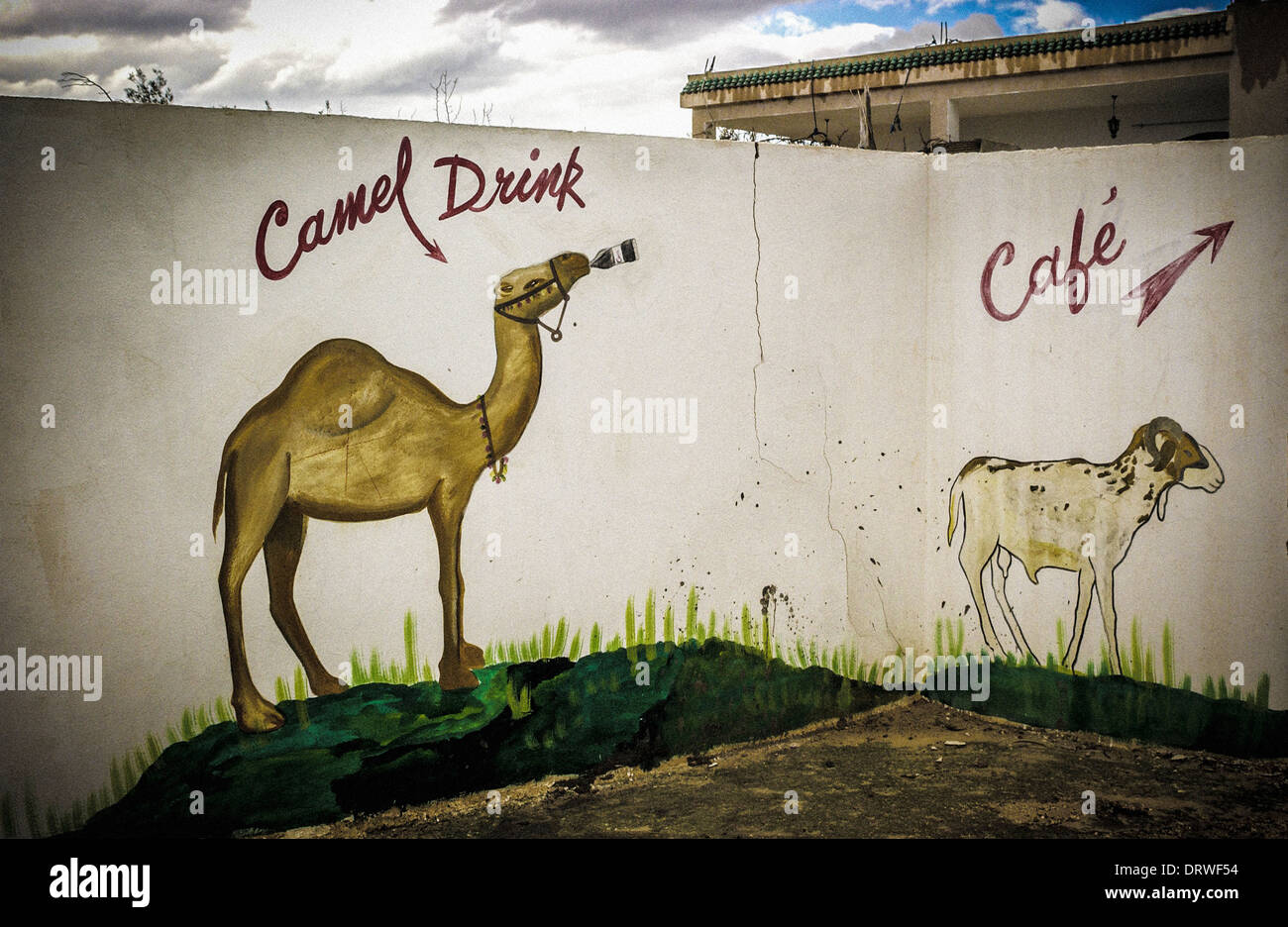 Kamel trinken Cafe Zeichen, Tunesien. Stockfoto