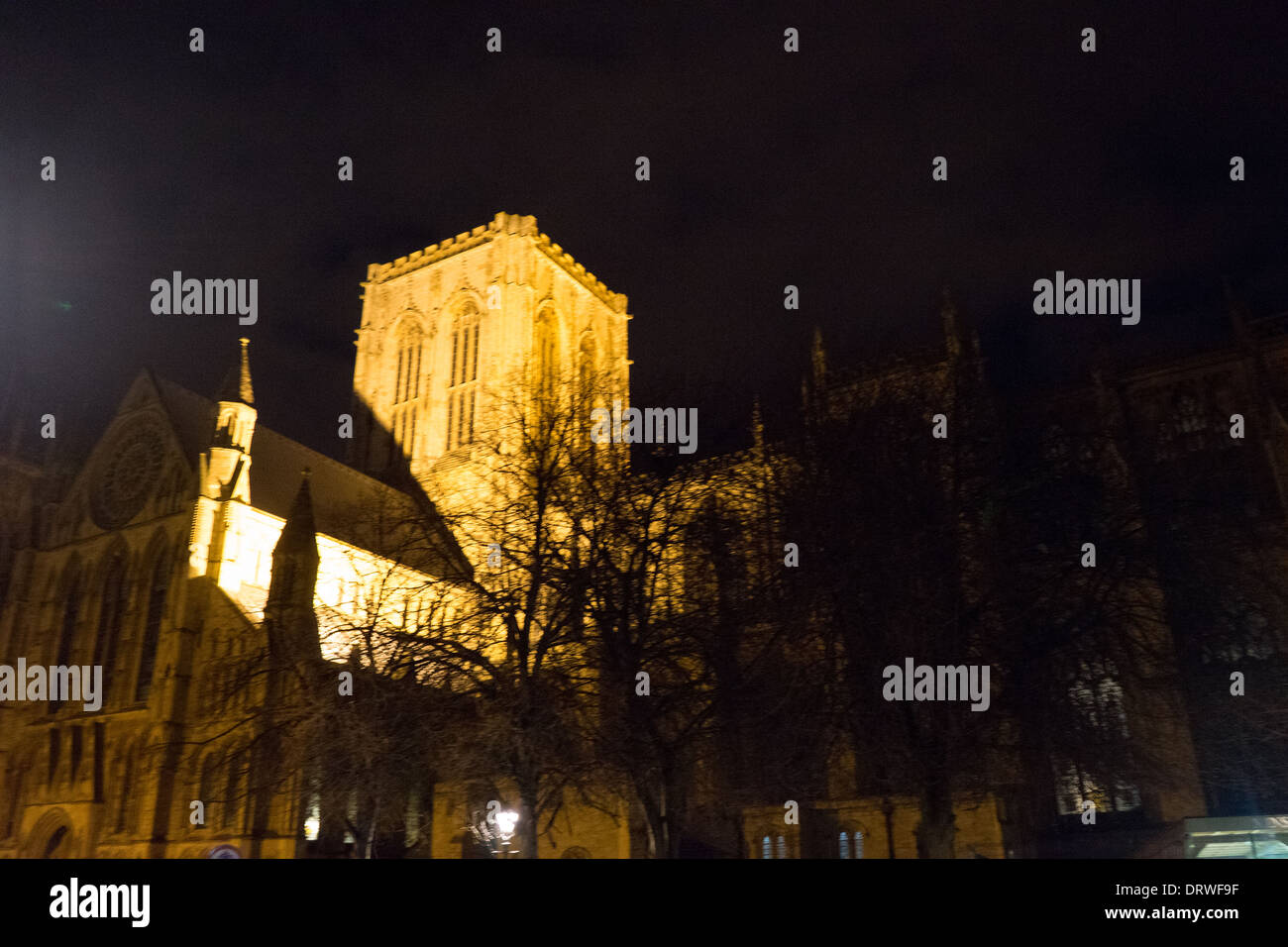 York Minster in der Nacht Stockfoto