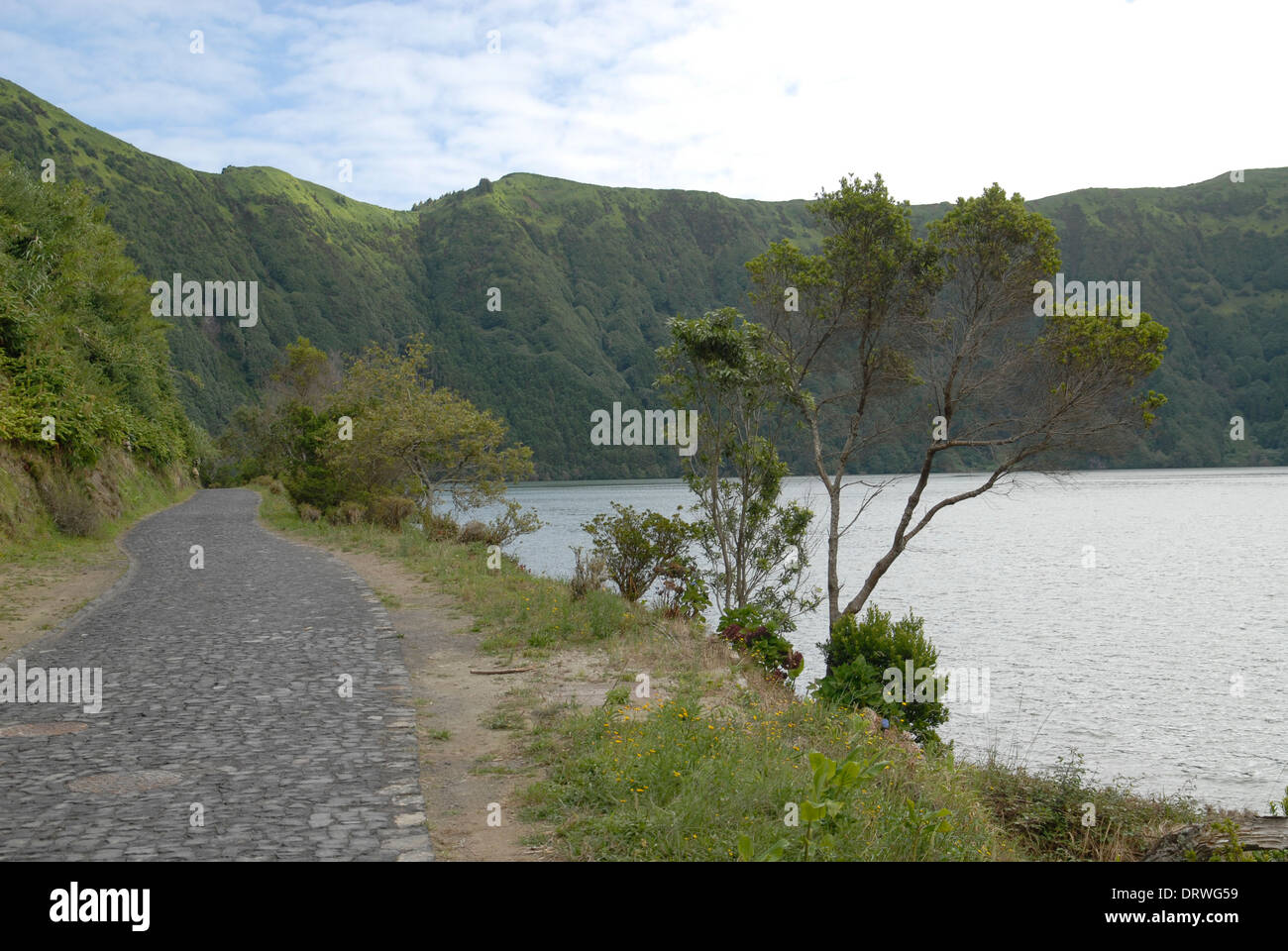 Kleine Straße im Norden von Lagoa Azul, Insel Sao Miguel, Azoren, Portugal Stockfoto