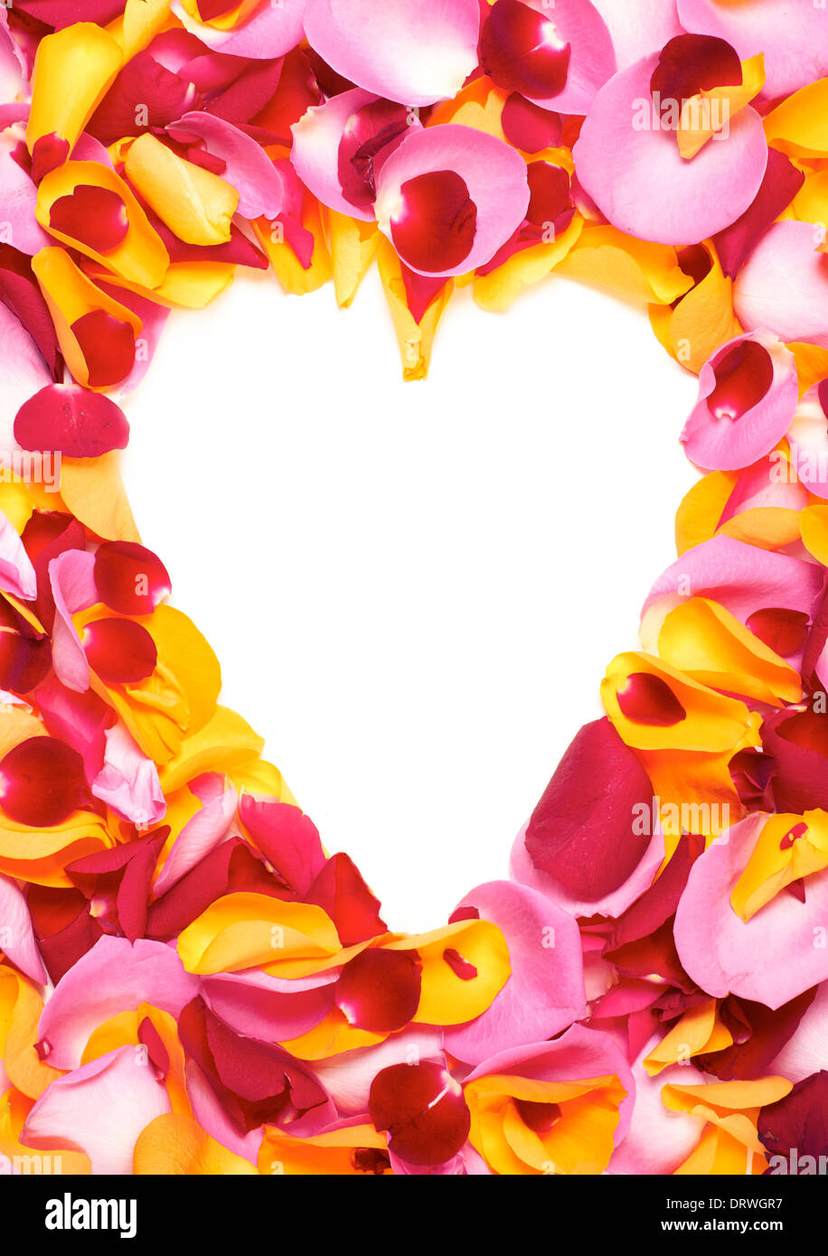 Eine Form eines Herzens in einem Haufen von gemischten Rosenblüten auf einem weißen Hintergrund. Stockfoto