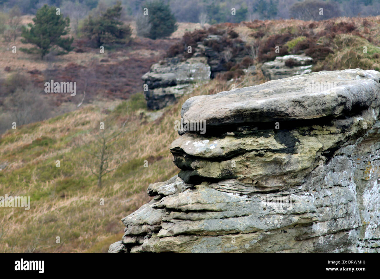 Malerische Aussicht auf ungewöhnlichen Felsformationen auf North Yorkshire moors, England. Stockfoto