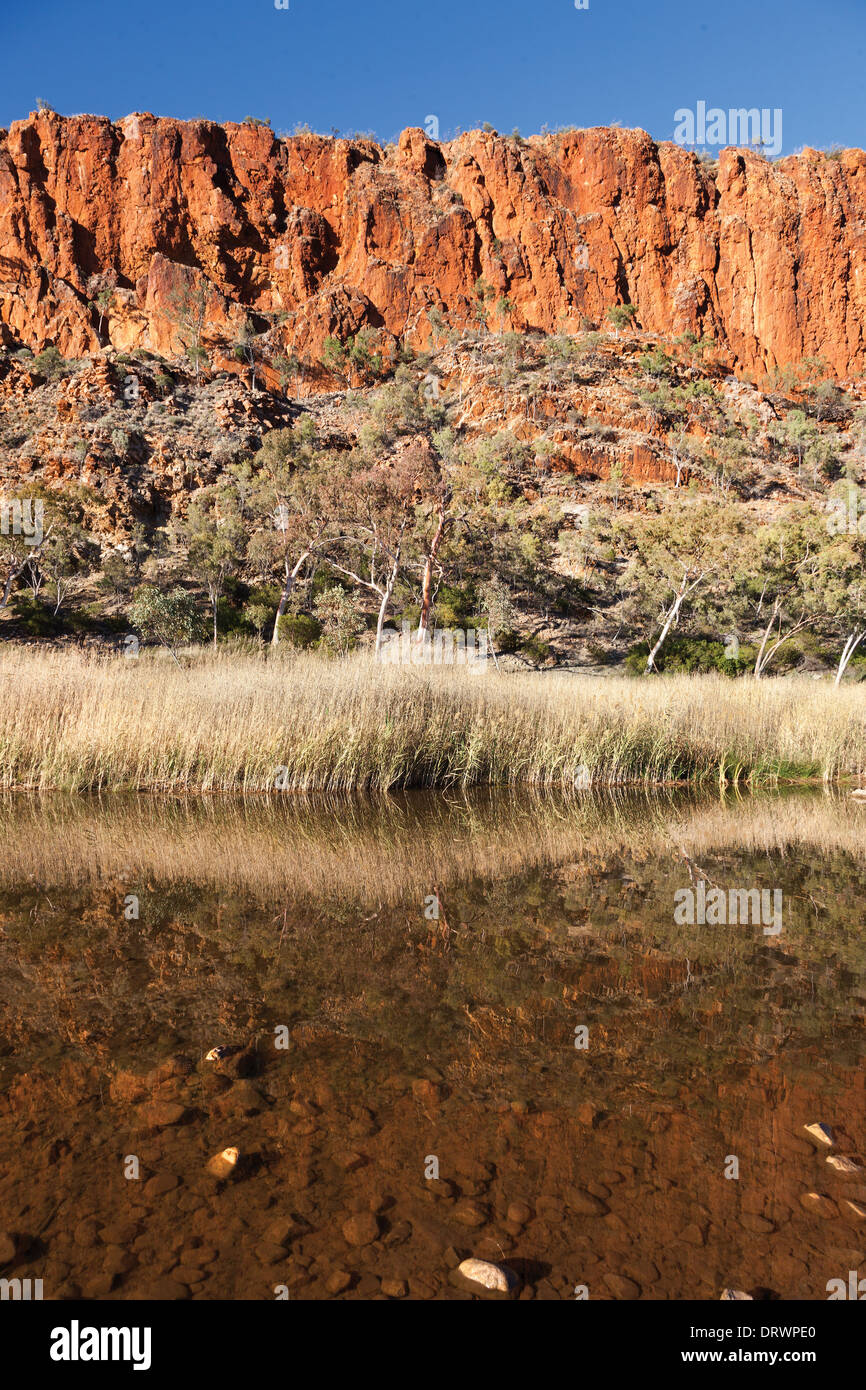 Glen Helen Wasserloch Central Australia in der Nähe von Alice Springs im Westen Macdonnel reicht Stockfoto
