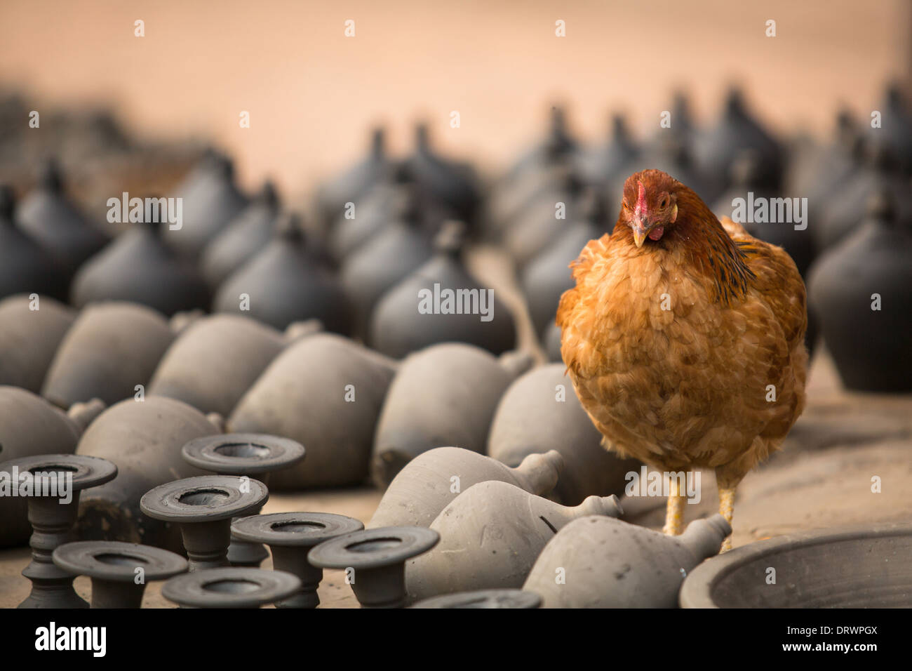 Huhn unter den Lehm-Produkten in das Dorf Töpferwerkstatt. Stockfoto