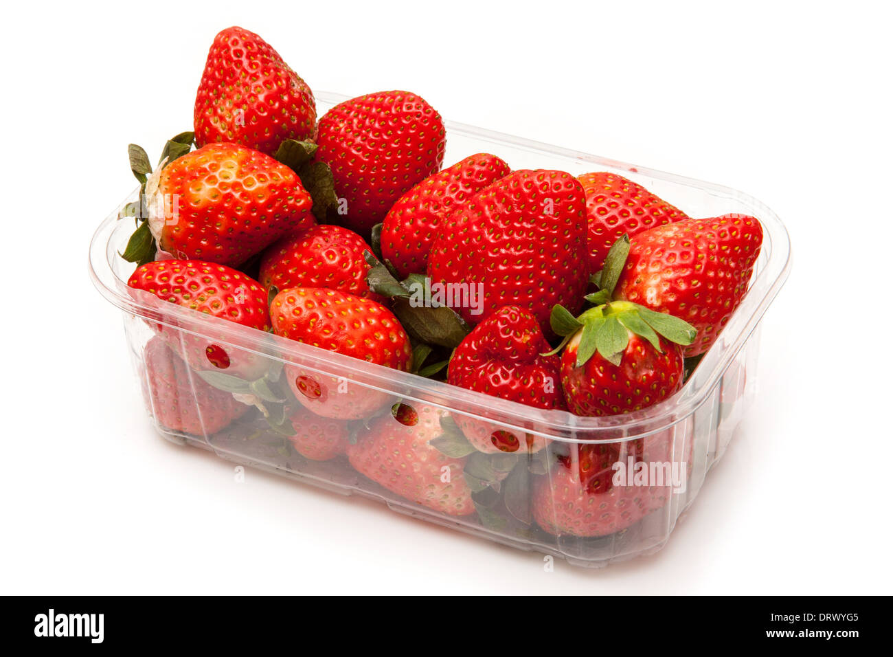 Box oder Körbchen Erdbeeren isoliert auf einem weißen Studio-Hintergrund. Stockfoto