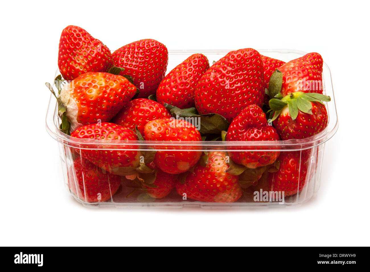 Box oder Körbchen Erdbeeren isoliert auf einem weißen Studio-Hintergrund. Stockfoto
