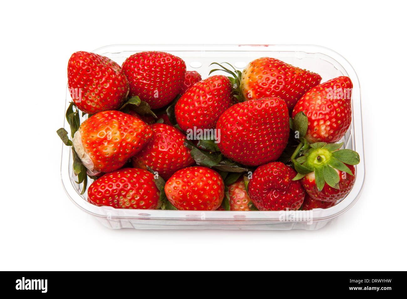 Box oder Körbchen Erdbeeren isoliert auf einem weißen Studio-Hintergrund. Stockfoto