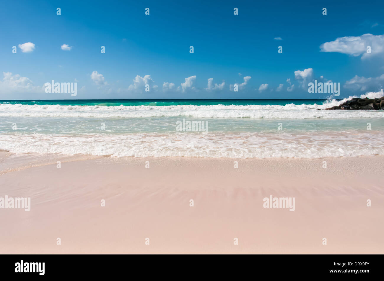 Mit Blick auf den Ozean auf einem Karibischen Traumstrand mit viel Strand im Vordergrund. Stockfoto