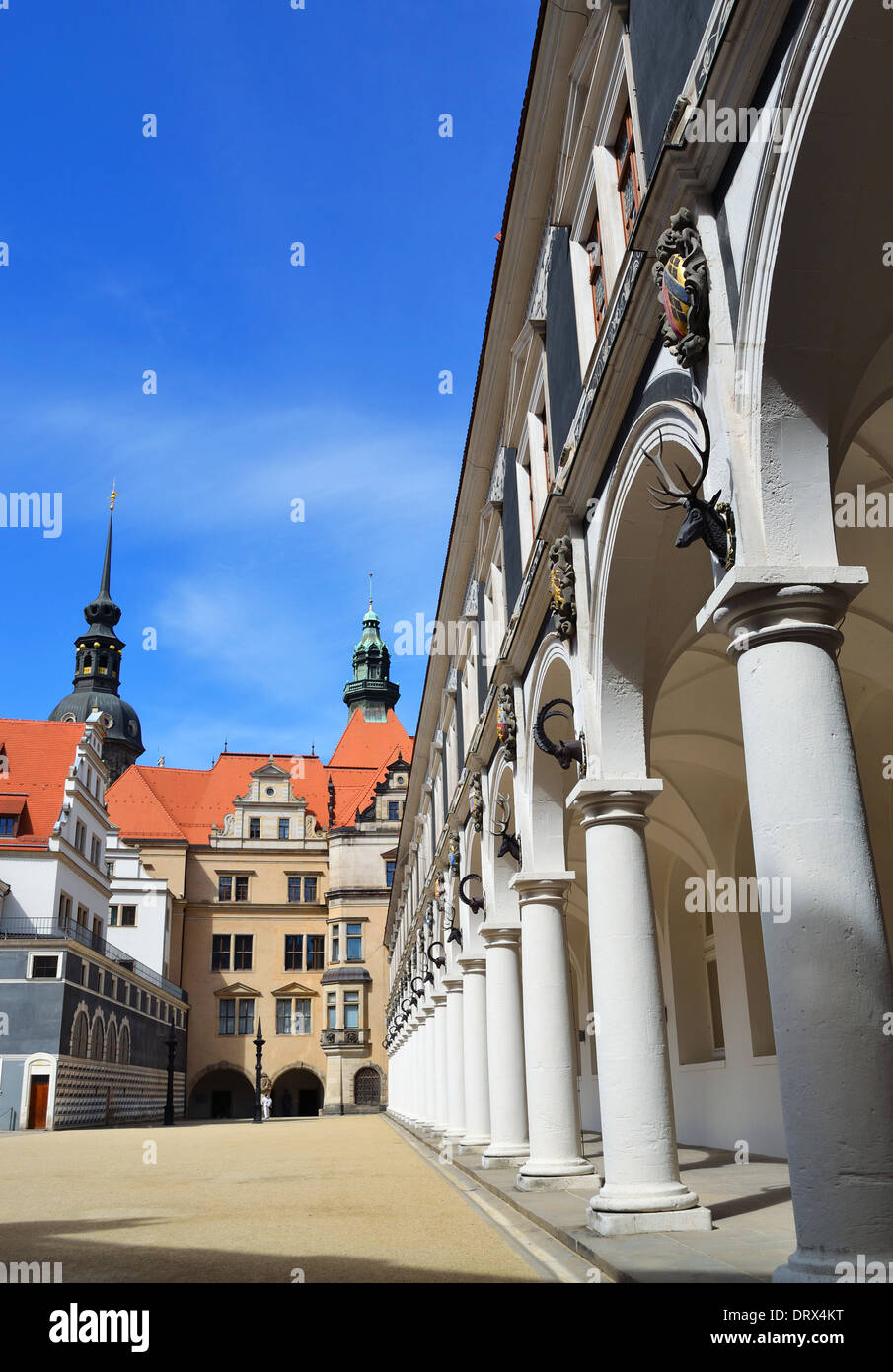 Pferd-Hof in Dresden Stockfoto