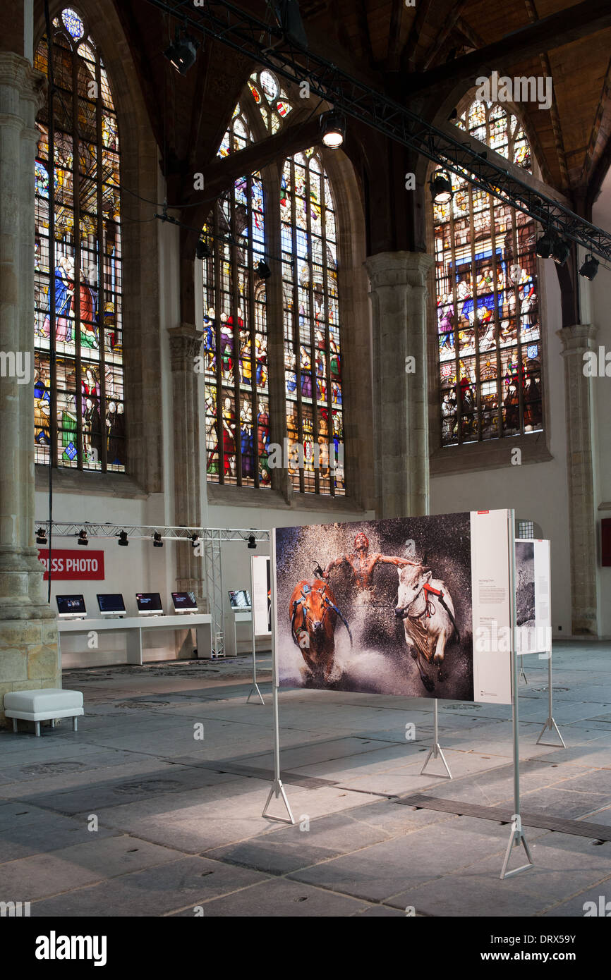 World Press Photo-Ausstellung 2013 in der alten Kirche (Niederländisch: Oude Kerk) in Amsterdam, Holland, Niederlande. Stockfoto