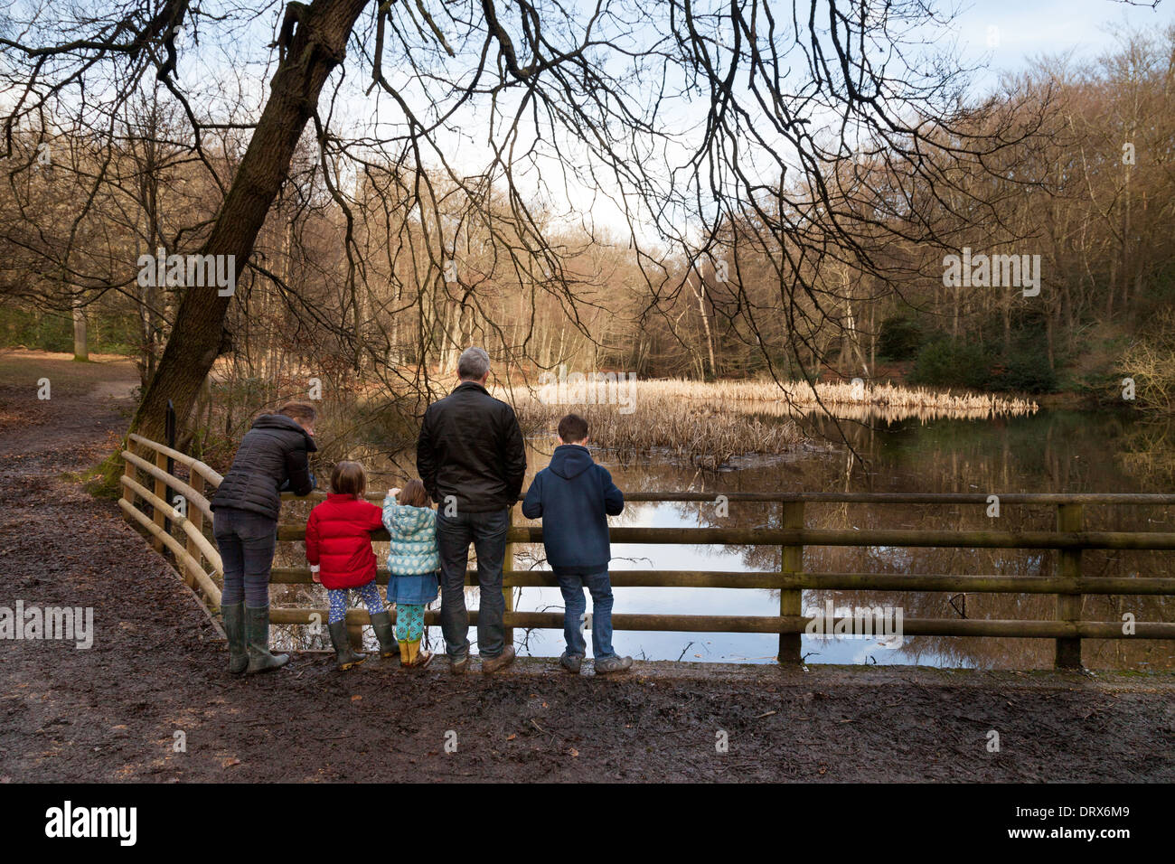 Eine Familie, die zu Fuß in britische Landschaft am Burnham Beeches, Buckinghamshire, England UK Stockfoto