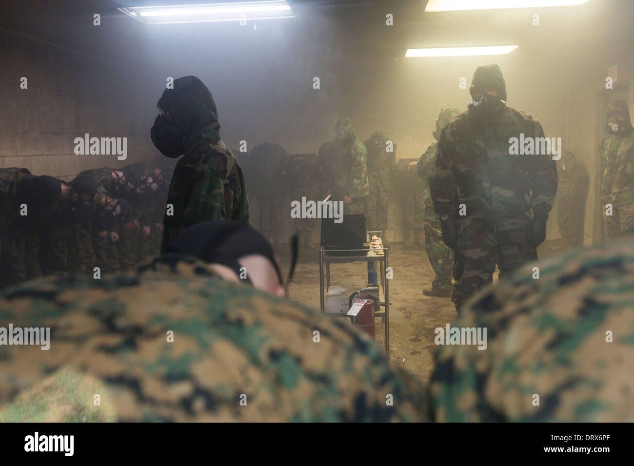 US-Marine Rekruten in die Gaskammer im Bootcamp 13. Januar 2014 in Parris Island, SC. Stockfoto