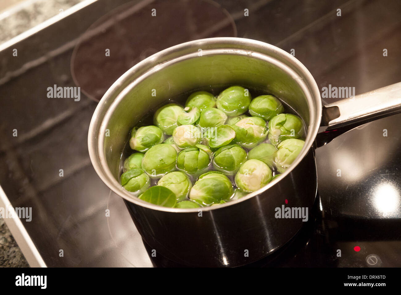 Rosenkohl Gemüse kochen in einem Topf auf dem Herd in der Küche, UK Stockfoto