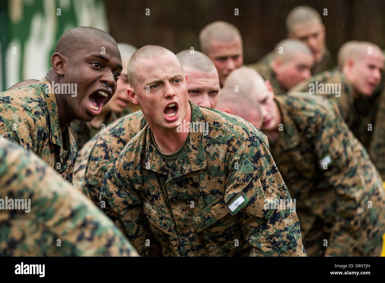 US Marine Rekruten reagieren auf Befehle nach dem Beenden der Gaskammer während Bootcamp 13. Januar 2014 in Parris Island, SC. Stockfoto