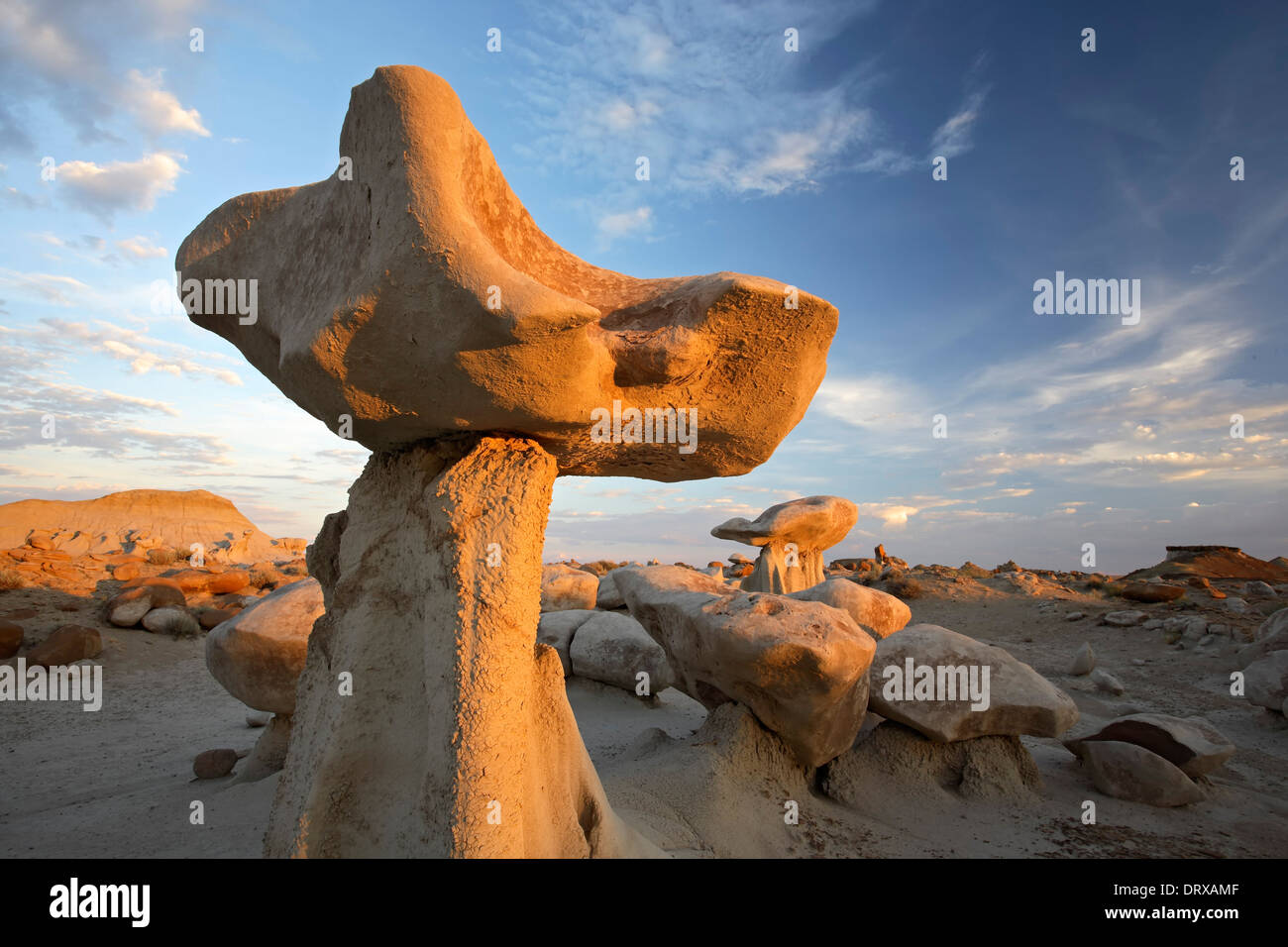 "Pilz" Felsen und Geröll, Bisti De-Na-Zin Wilderness Area, New-Mexico-USA Stockfoto