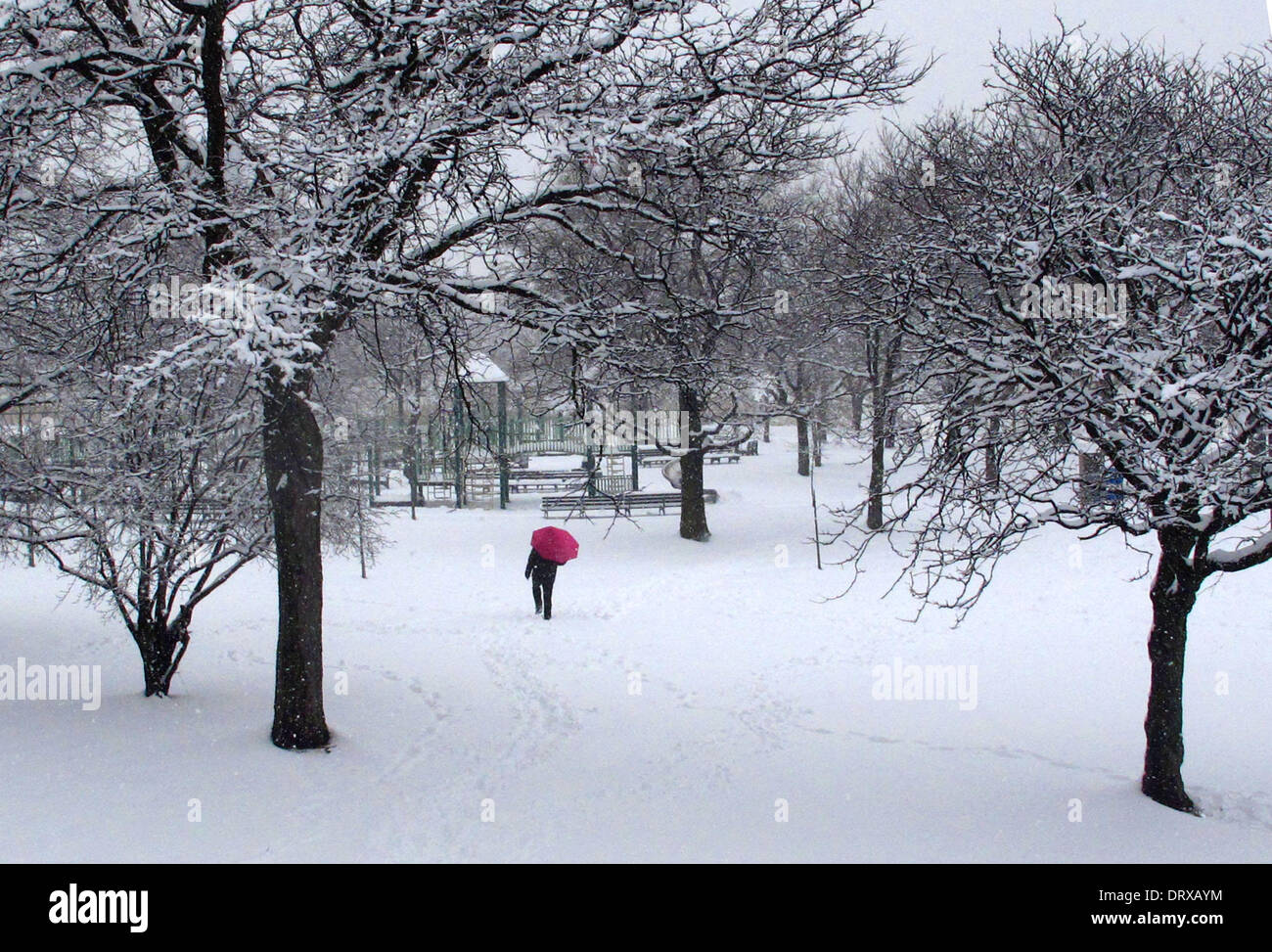 New York City, USA. 3. Februar 2014. Ein Fußgänger geht in einem verschneiten Park in New York City, USA, 3. Februar 2014. Der National Weather Service erteilt einem Wintersturm Warnung für New York City, Long Island und Teilen von New Jersey, wo 5 bis 8 Zoll (ca. 12 bis 20 Zentimeter) Schnee und fallen Temperaturen erwartet werden. Bildnachweis: Wang Xijia/Xinhua/Alamy Live-Nachrichten Stockfoto