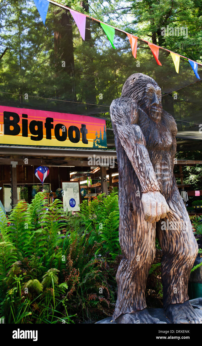 Sasquatch (Bigfoot) Statue in Redwood Forest of Northern California Stockfoto