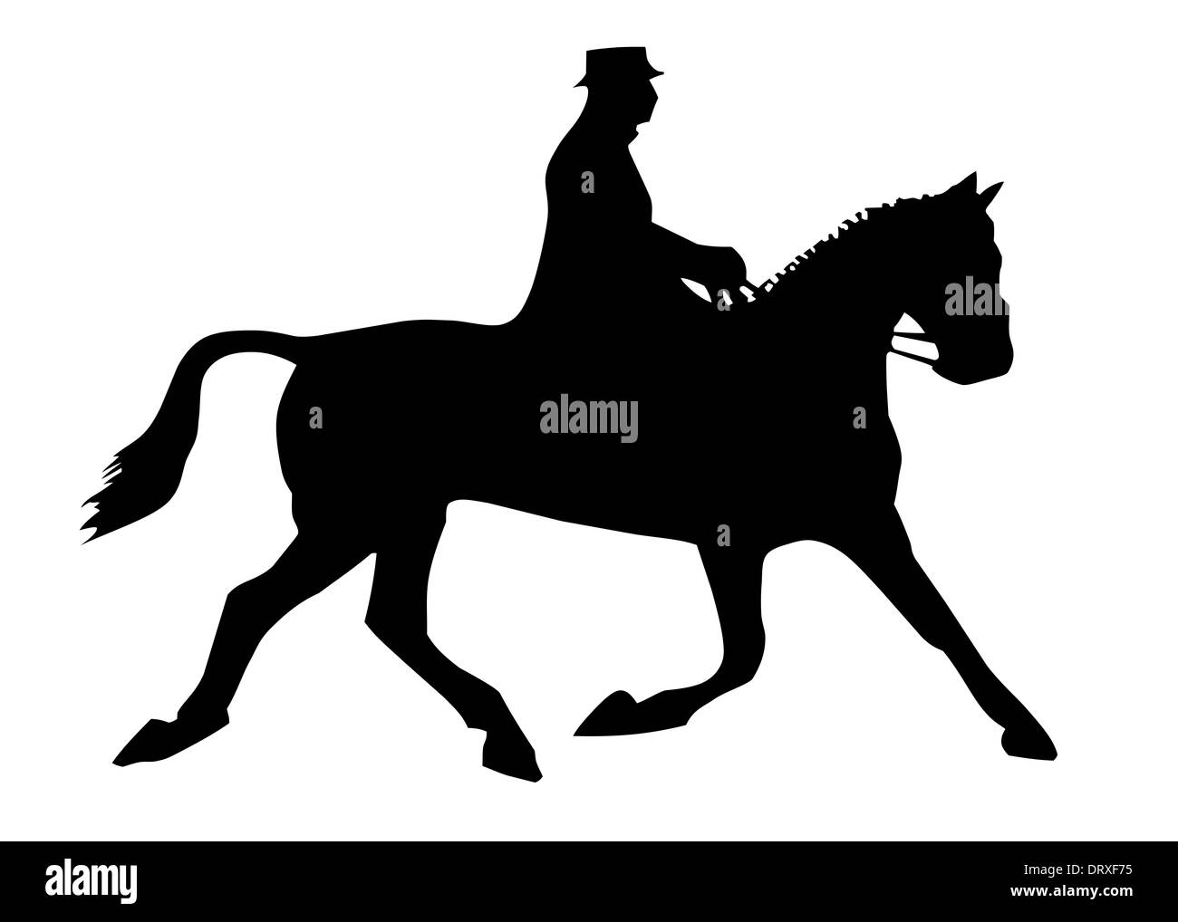 Abbildung oben Reiter auf einem Pferd, auf einem weißen Hintergrund. Stockfoto